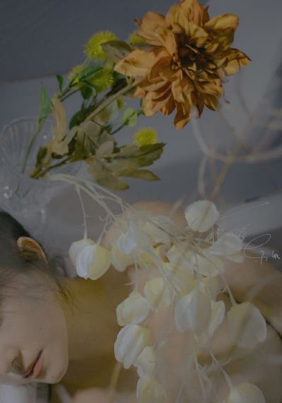 精品日韩一区二区视频在线_1080迅雷电影在线